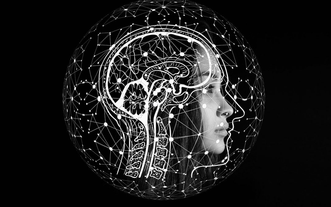 Buddhismus und moderne Wissenschaft, Oberstufe